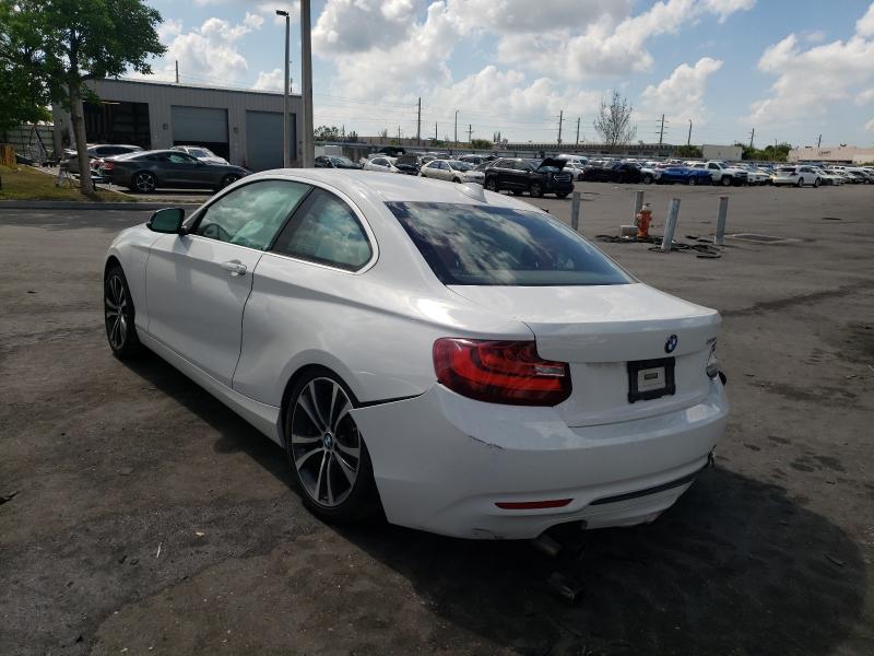 2014 BMW 228 I WBA1F5C53EV255756