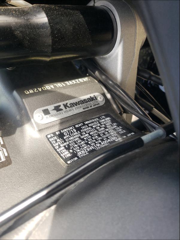 2020 KAWASAKI ZX1002 JKBZXVE19LA004280