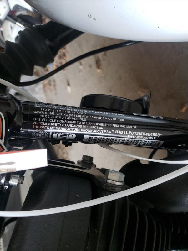 2021 HARLEY-DAVIDSON XL1200 NS 1HD1LP313MB404508