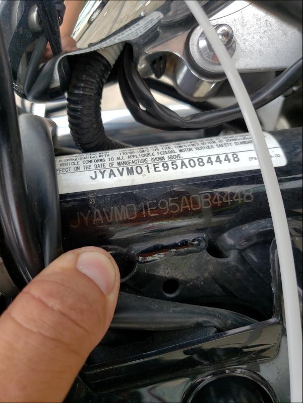 2005 YAMAHA XVS65 BASE JYAVM01E95A084448