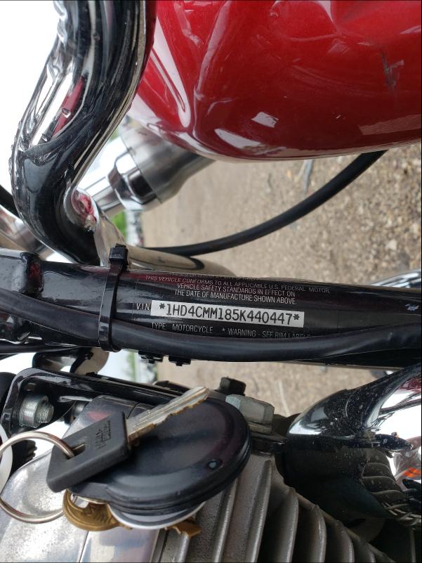 2005 HARLEY-DAVIDSON XL883 L 1HD4CMM185K440447