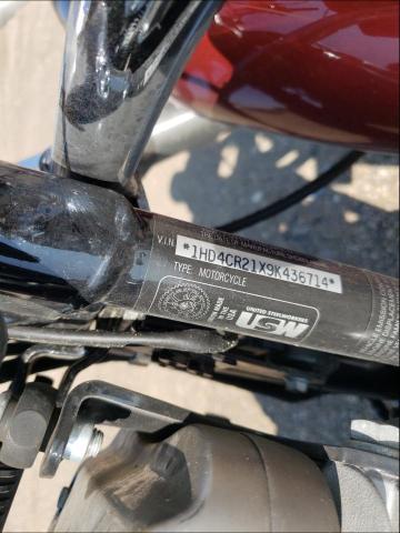 2009 HARLEY-DAVIDSON XL883 L 1HD4CR21X9K436714