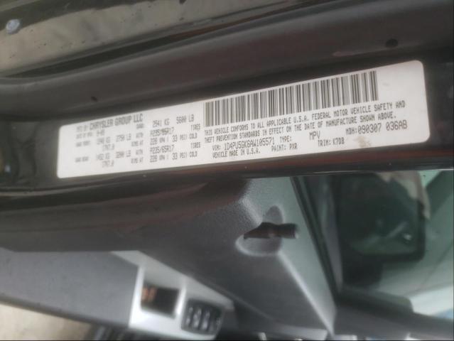 2010 DODGE NITRO SXT 1D4PU5GK6AW105571