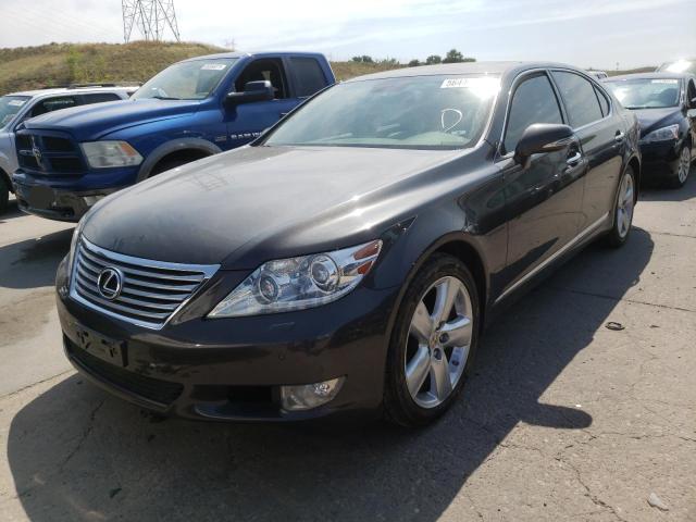 2010 LEXUS LS 460L JTHGL5EFXA5040346