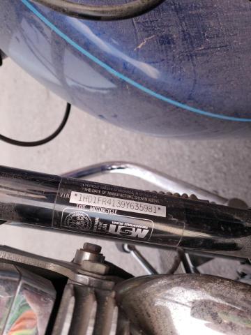 2009 HARLEY-DAVIDSON FLHRC 1HD1FR4139Y635981