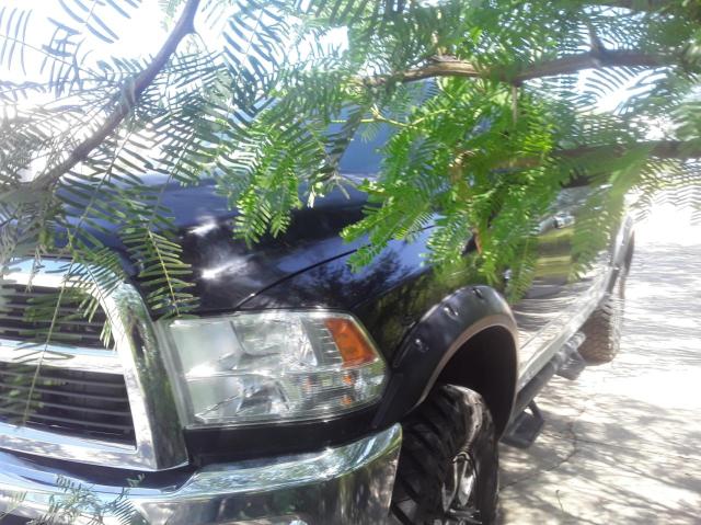 2012 DODGE RAM 3500 L 3C63D3ML2CG348168