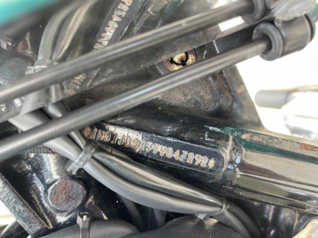 2009 HARLEY-DAVIDSON FLSTN 1HD1JD5199Y047292