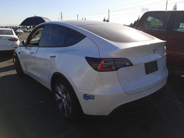 2021 TESLA MODEL Y 5YJYGDEE8MF095117