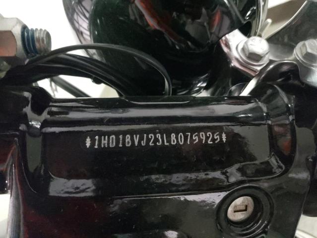 2020 HARLEY-DAVIDSON FXST 1HD1BVJ23LB075925