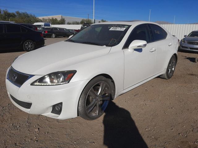 2011 LEXUS IS250 JTHBF5C28B5142084