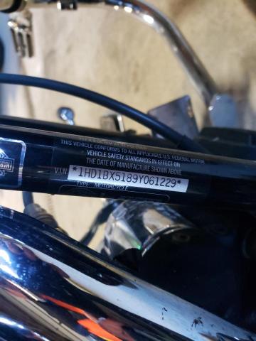 2009 HARLEY-DAVIDSON FLSTF 1HD1BX5189Y061229