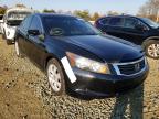 2010 HONDA  ACCORD