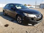 2013 HONDA  ACCORD