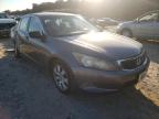 2010 HONDA  ACCORD