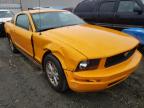 2007 FORD  MUSTANG