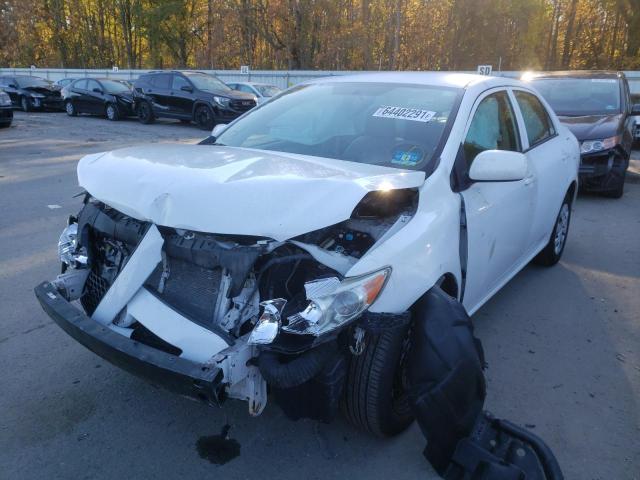 2010 TOYOTA COROLLA BA 1NXBU4EEXAZ191988