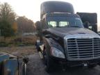 2015 FREIGHTLINER  CASCADIA 1