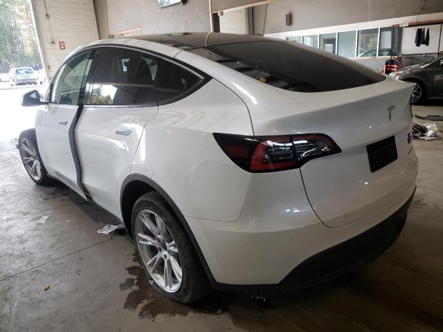 2021 TESLA MODEL Y 5YJYGDEE5MF061216