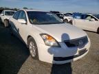 2007 NISSAN  ALTIMA