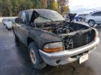 2000 DODGE  DAKOTA