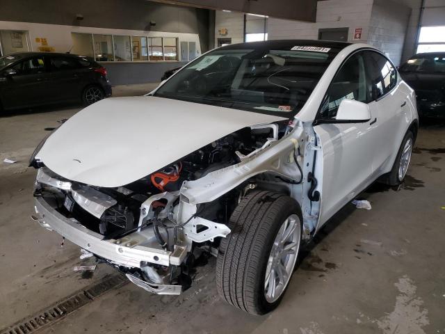 2021 TESLA MODEL Y 5YJYGDEE5MF061216