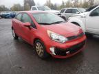 2013 KIA  RIO