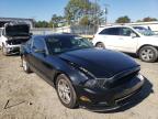 2013 FORD  MUSTANG