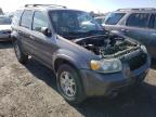 2005 FORD  ESCAPE