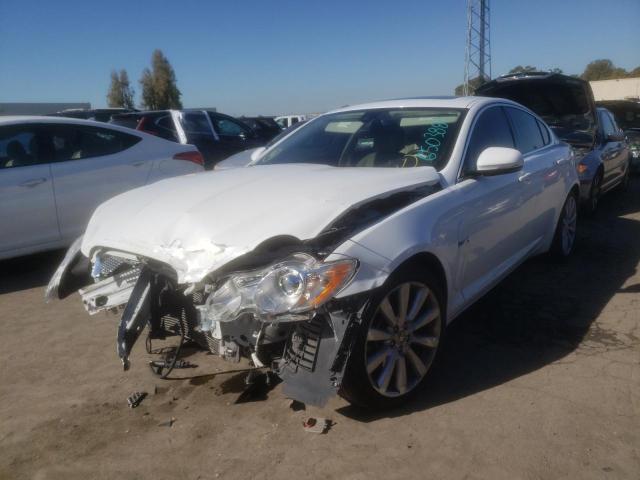 2011 JAGUAR XF PREMIUM SAJWA0GB5BLS18663