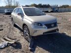 2013 LEXUS  RX350