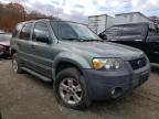 2007 FORD  ESCAPE