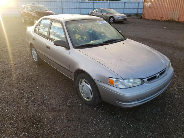 Salvage cars for sale from Copart Ontario Auction, ON: 1999 Toyota Corolla VE