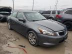 2010 HONDA  ACCORD