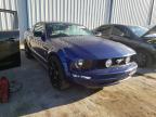 2005 FORD  MUSTANG