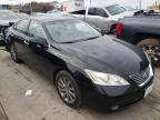 2008 LEXUS  ES350