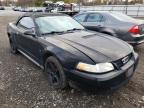 2000 FORD  MUSTANG