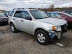 2009 FORD  ESCAPE