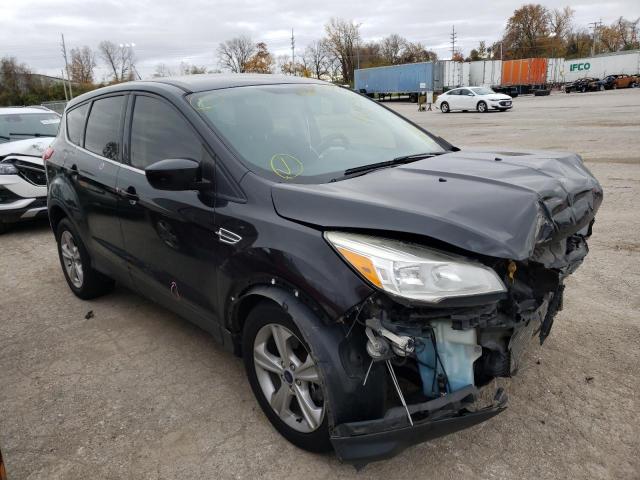 2014 FORD ESCAPE SE 1FMCU0G90EUB43645