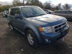 2010 FORD  ESCAPE