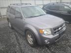 2008 FORD  ESCAPE