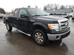 2013 FORD  F-150