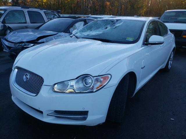SAJWA0FB6BLR86749 Jaguar XF