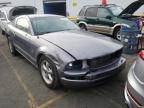 2007 FORD  MUSTANG