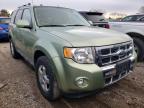 2009 FORD  ESCAPE