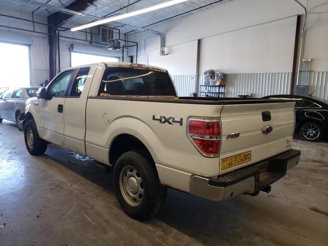 2013 FORD F150 XL 1FTFX1EF2DKE72607