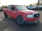 2007 FORD  F-150