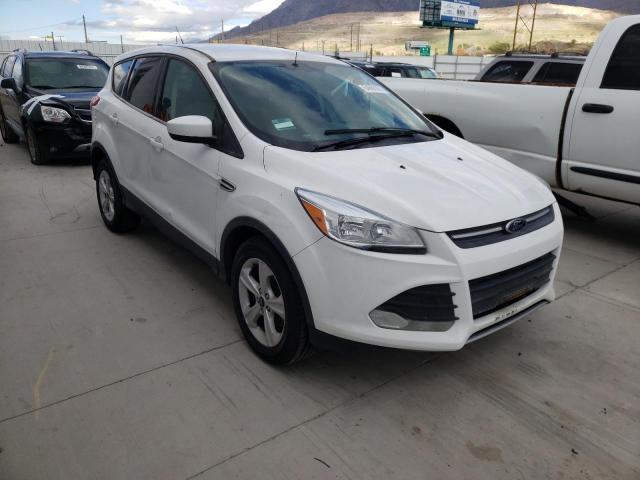 Salvage cars for sale from Copart Farr West, UT: 2013 Ford Escape SE