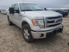 2013 FORD  F-150