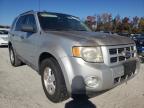 2009 FORD  ESCAPE