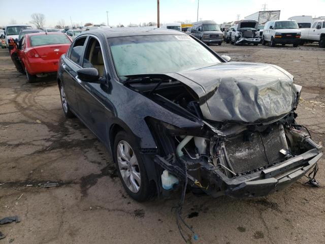 2010 HONDA ACCORD EXL 1HGCP3F82AA004605